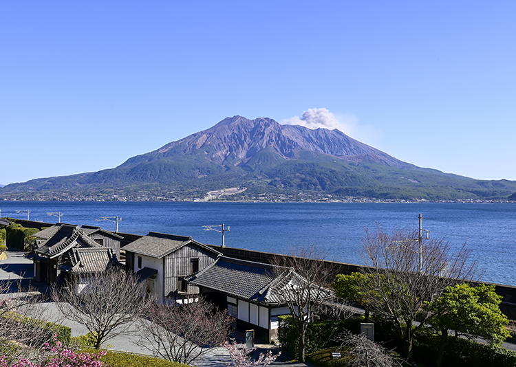 早春の仙巌園