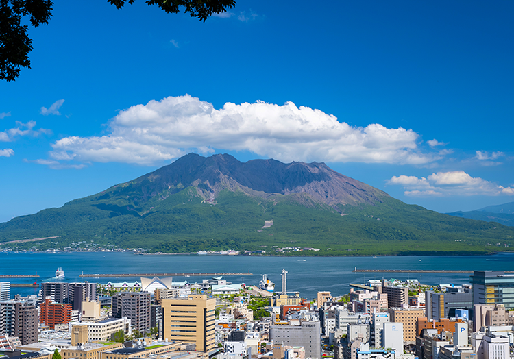 城山展望台 桜島View Spot